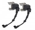 Solarhome 2pcs Ignition Coils 30500-z6l-043 For Honda Gx630 Gx660 Gx690 Gxv630 Gxv660