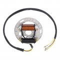 Carbpro 32101-40b00 Electric Replacement For Stator 1987-2006 Suzuki Lt 80 Quadsport Lt80