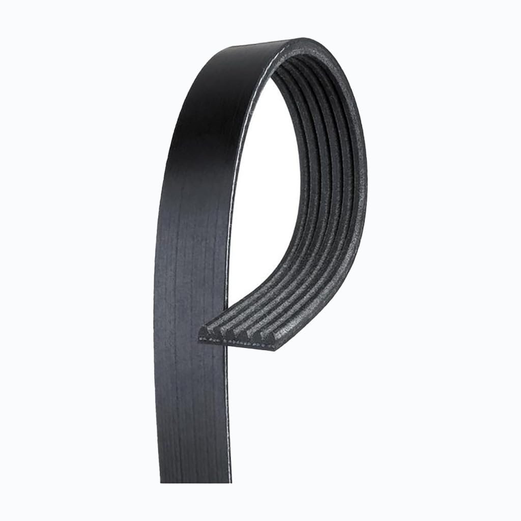 V Ribbed Serpentine Belt Accessory Drive For Lexus Sc300 1992 To 1998 Black 6 Rib 76 81 In Outside Circumference 26 Effective