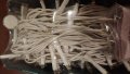 Ge Staybright Led Microbright Lights 250ct Warm White 93266lo