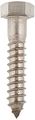 Hex Lag Screws 1 2 In X Stainless Steel External Drive 15 Piece Set 