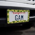 Marijuana Pot Weed Leaf Pattern License Plate Tag Frame