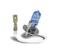 Show Chrome Accessories 10-8335 True White H3 35 Watt Halogen Bulb 