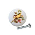 Design 04 Yellow Canary A Rose Is Series 1 5 Ceramic Cabinet Dresser Drawer Pull Knob
