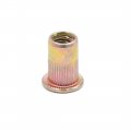 Uxcell 100 Pcs 1 4-20 Car Bronze Tone Zinc Coated Steel Thread Rivet Nut Insert Nutserts
