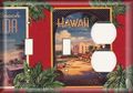 Two Switch One Duplex Receptacle Plate Hawaii Postcard 