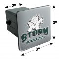 Lake Erie College Primary Logo Tow Trailer Hitch Cover Plug Insert 2