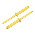 100pcs 3 16 X1 Aluminum Blind Rivets Grip And Steel Mandrel Dome Head Long Split For Metal Furniture Automotive Yellow 