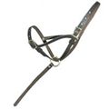 Halter Foal Slip W Grap Strap And Adj Nose 