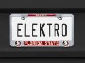 Florida State University Alumni 3d License Plate Frame