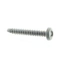 Polaris New Screw 