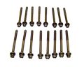 Hbk1136 Head Bolt Kit For 1997 To 2011 Chrysler Dodge Eagle Jeep Plymouth Volkswagen Caravan Grand Voyager 3l 3 8l V6 Ohv 