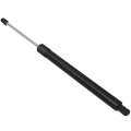 Liftgate Struts Lift Supports Gas Springs For Honda Pilot 2009 2015 Set Of 2 6648 74820szaa21 Sza A21 74820 Aca21 