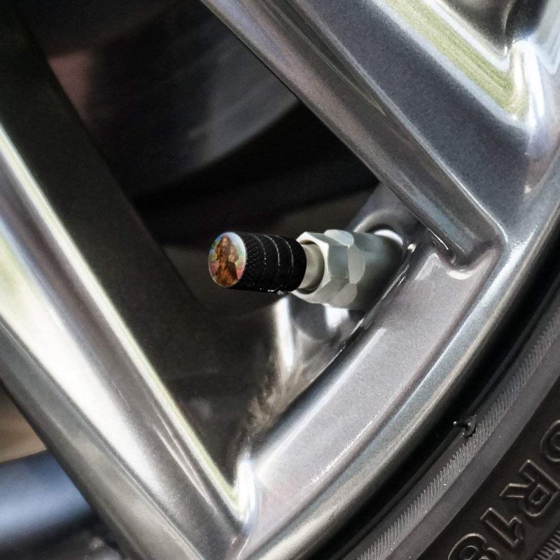 Wizard Of Oz Lion Character Tire Rim Wheel Aluminum Valve Stem Caps