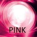 Xentec 880 Pink Hid Xenon Bulb X 1 Pair 