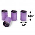 Black Dragon Castle Valve Stem Caps For Tire Rim Wheel Aluminum Purple