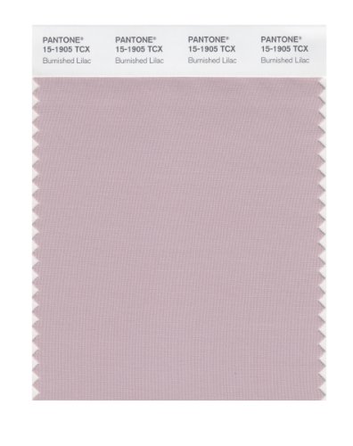 Pantone Smart 15-1905x Color Swatch Card Burnished Lilac