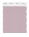 Pantone Smart 15-1905x Color Swatch Card Burnished Lilac 