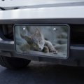 Graphics More Gray Domestic Shorthair Kitten Cat Fur Novelty Metal Vanity Tag License Plate