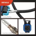 A-premium O2 Oxygen Sensor Compatible With Chevrolet Colorado 2009-2012 Trailblazer 2008-2009 Gmc Canyon Envoy Saab 9-7x Hummer