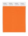 Pantone Smart 17-1350x Color Swatch Card Orange Popsicle 
