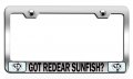 Got Redear Sunfish Fishing Chrome Metal License Plate Frame Tag Holder R83 
