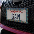 Fishy Lips Pattern License Plate Tag Frame