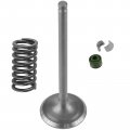 Caltric Exhaust Valve Kit Compatible With Honda 14721-hl4-000 14751-hl4-000 12208-413-003 14781-ha0-770
