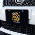 Kennesaw State Owls Logo Novelty Metal Vanity Tag License Plate
