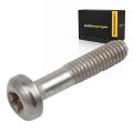 Bolt For Cadillac Dts 2006 2011 Steel Zinc T20 Head Tool Size 0 39 In 10 Mm Thread Length Heat Hardened Replacement Part