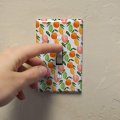 Citrus Medley Lemons Limes Oranges Plastic Wall Decor Toggle Light Switch Plate Cover 