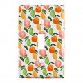 Citrus Medley Lemons Limes Oranges Plastic Wall Decor Toggle Light Switch Plate Cover