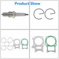 Labwork Cylinder Gasket Piston Kit Replacement For Honda Sportrax 250 Trx250ex 2001 2002-2008 13011-hm8-003