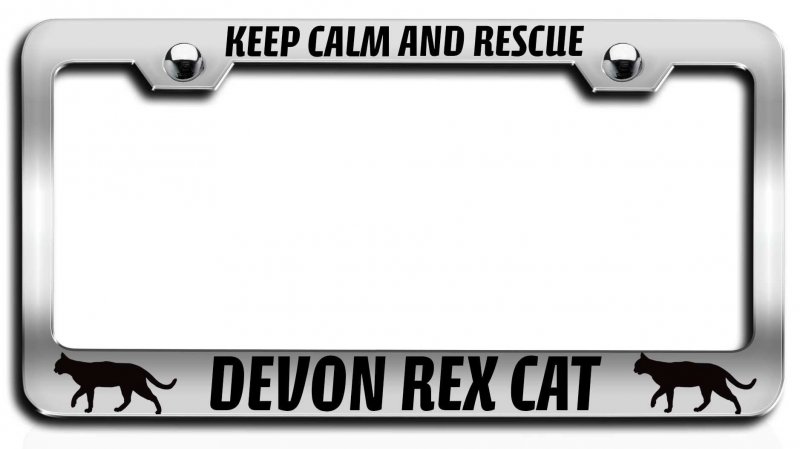 Keep Calm And Rescue Devon Rex Cat Chrome Metal License Plate Frame Universal Fit For Cars Trucks Suvs 12 5 X 6 In Heavy Duty
