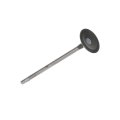 Intake Valve For Chevy Malibu 2016 2017 2018 2019 2020 2021 Nickel Alloy 1 10 Head Diameter 0 22 In Stem 46 Degrees Seat Angle 