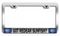 Got Redear Sunfish Fishing Chrome Metal License Plate Frame Stainless Steel Tag Holder For Us And Canada Vehicles 12 5 X 6 In 