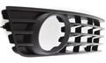 Evan-fischer Fog Light Molding For Audi A4 S4 02-05 Type 1 Black Right Side