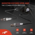 A-premium O2 Oxygen Sensor Compatible With Nissan Altima 2013-2018 2 5l Juke 2011-2015 1 6l Upstream And Downstream 2-pc Set