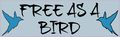 10in X 3in Free As A Bird Magnet Bumper Vinyl Car Magnets Magnetic By Stickertalk 