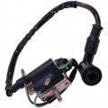 Procompany 12v 2 Pins Ignition Coil For 50cc 70cc 90cc 110cc 125cc 4 Cycle Horizontal Engine