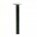 Can Am Pop Rivet 3 16 In 390502000