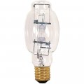 Satco S4831 Bulb Polished Nickel Glass 