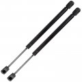 Ocpty Lift Supports Gas Springs Struts Shocks 4478 Sg404016 Strut Fits For Ford Expedition 1997-2006 For F-150 1997-2004