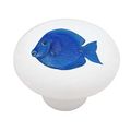 Tropical Blue Tang Decorative High Gloss Ceramic Drawer Knob 