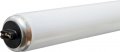 Ge Lighting Garage Basement 10261 35-watt 1620-lumen T12 Light Bulb With Recessed Double Contact Base 24-pack 