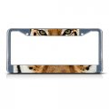 Fastasticdeals Tiger Animal Eyes License Plate Frame Tag Holder Cover 
