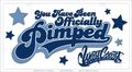 West Coast Customs 11 5 X 21 Mega Tag 