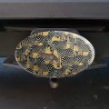 African Plains Zebra Herd Grazing Pattern Oval Tow Trailer Hitch Cover Plug Insert