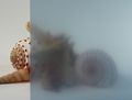 Blue Frosted Window Film 30 Wide X 25 Ft 