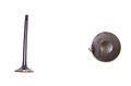 Dnj Engine Components Ev644 Exhaust Valve 